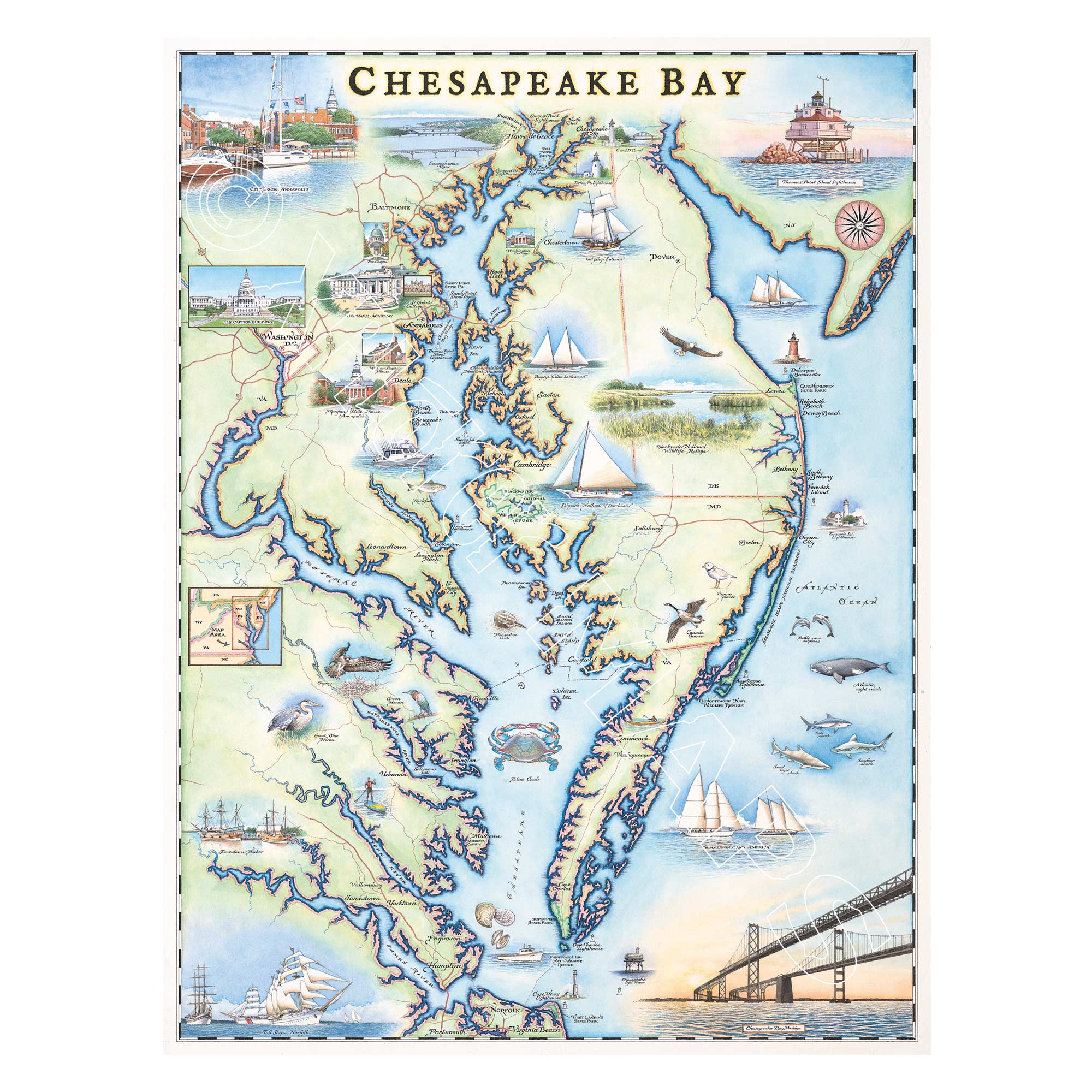 This is a hand-drawn map of Chesapeake Bay featuring blue and green earth tones and illustrations of boat craft and marine life. The cities showcased on the map are the major cities situated along the shoreline of the bay as well along the peninsula including: Baltimore, Annapolis, Washington D.C., Hampton, Portsmouth, Virginia Beach, and the Chesapeake Bay Bridge. It measures 18x24.