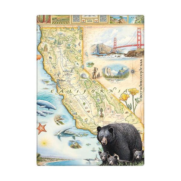 California State Map Magnets