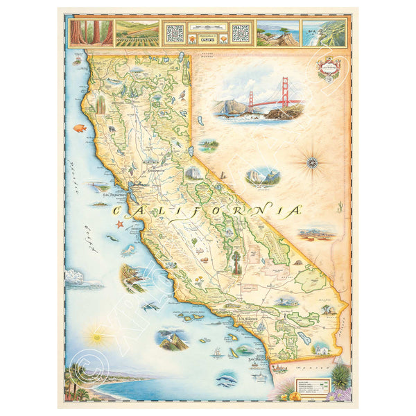 This is an 18x24 hand-drawn map of California and Boston, Massachusetts, and features earth tones of beige, blue, and green. It highlights major cities like Sacramento, San Francisco, Los Angeles, San Diego, and Hollywood. The map also includes illustrations of various aquatic life, such as whales, sea turtles, and different fish species. Additionally, it features popular national parks and attractions like Yosemite, Sequoia, Disneyland, Redwood Forest, Golden Gate Bridge, and Death Valley.
