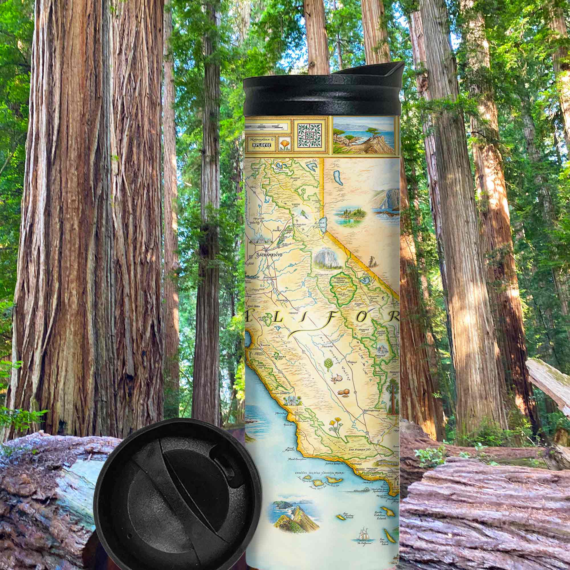  California State Map 16 oz Travel Drinkware sitting in the Redwood National Park by trees. Featured on the map are birds whales, seals, otters, and butterflies. Cultural landmarks of Hearst Castle, Ranchers of Montana De Oro, Dunites of Oceano Dunes, Redwoods, and Native people that have lived on this land for thousands of years from San Francisco to Los Angeles. Some cities you will find are Arroyo Grande, San Luis Obispo, Morro Bay, and Paso Robles.  