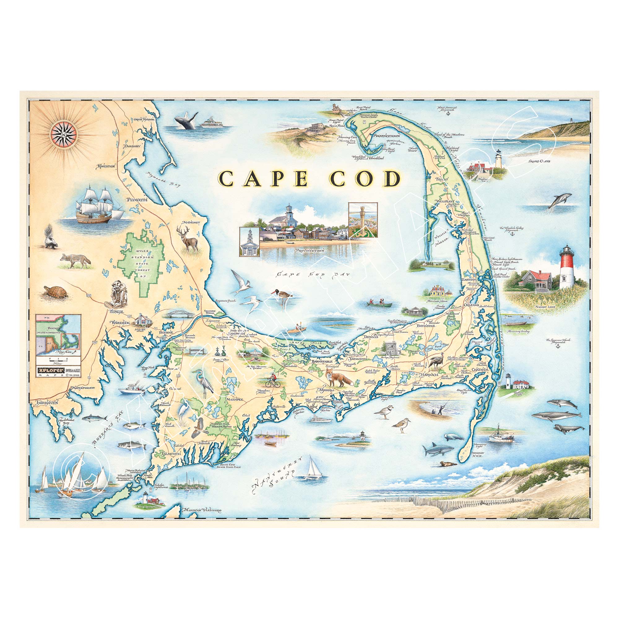Massachusetts' Cape Cod Peninsula Hand-Drawn Map in earth tones of blue and beige. The map features whale, fox, deer, and many bird species. Provincetown, Brewster, Chatham, Falmouth, and others. Measures 24x18.