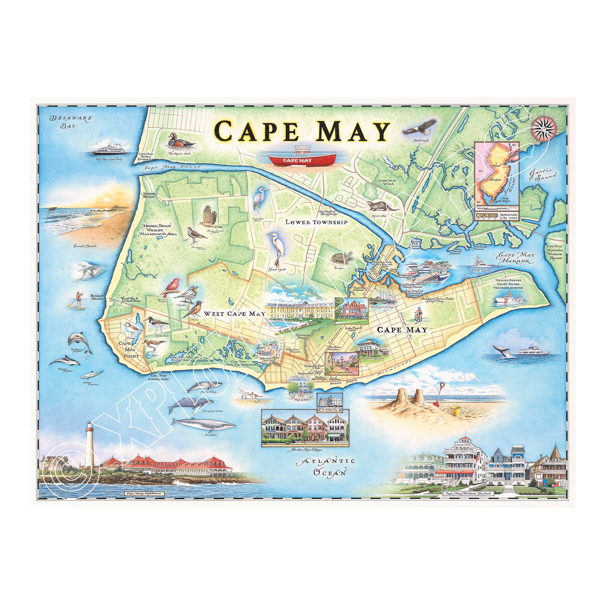 New Jersey's Cape May Hand-Drawn Map in blue and green. The map features heron and whale species, Cape May Harbor, Congress Hall, Washington St. Mall, and Cape May Bird Observatory. Measures 24x18.