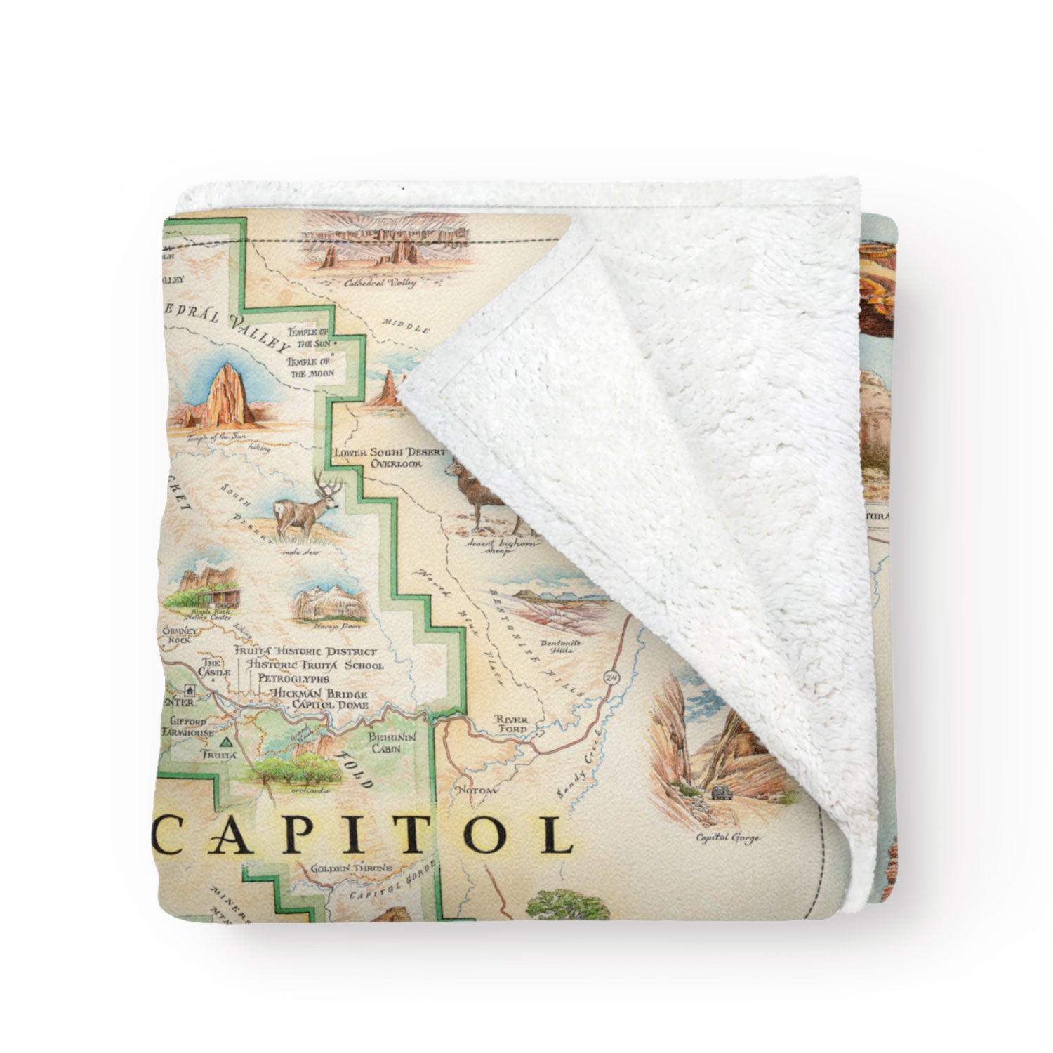 Utah's Capitol Reef National Park Map fleece blanket in earth tones. Featuring Claret Cup Cactus, Narrowleaf Yucca, Prince's Plume, and the Two-Needle Pinyon Pine. Detailed depictions of landmarks and geographic wonders like the Lower Muley Twist Canyon, Capitol Gorge, and Hickman Natural Bridge. Measures 58