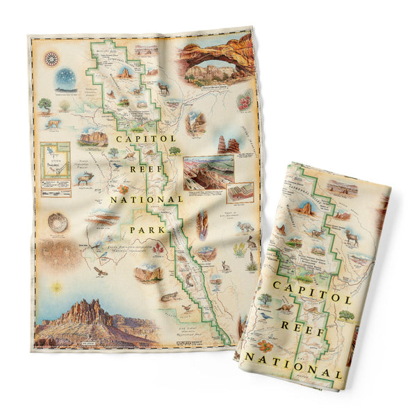 Utah's Capitol Reef National Park Kitchen Dish Towels in earth tones. Featuring Claret Cup Cactus, Narrowleaf Yucca, Prince's Plume, and the Two-Needle Pinyon Pine. Detailed depictions of landmarks and geographic wonders like the Lower Muley Twist Canyon, Capitol Gorge, and Hickman Natural Bridge.  