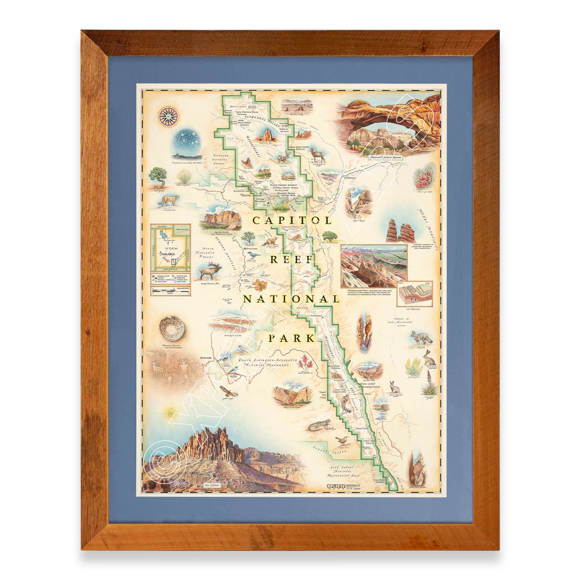 Utah's Capitol Reef National Park hand-drawn map in a Montana Larch wood frame with blue mat. 