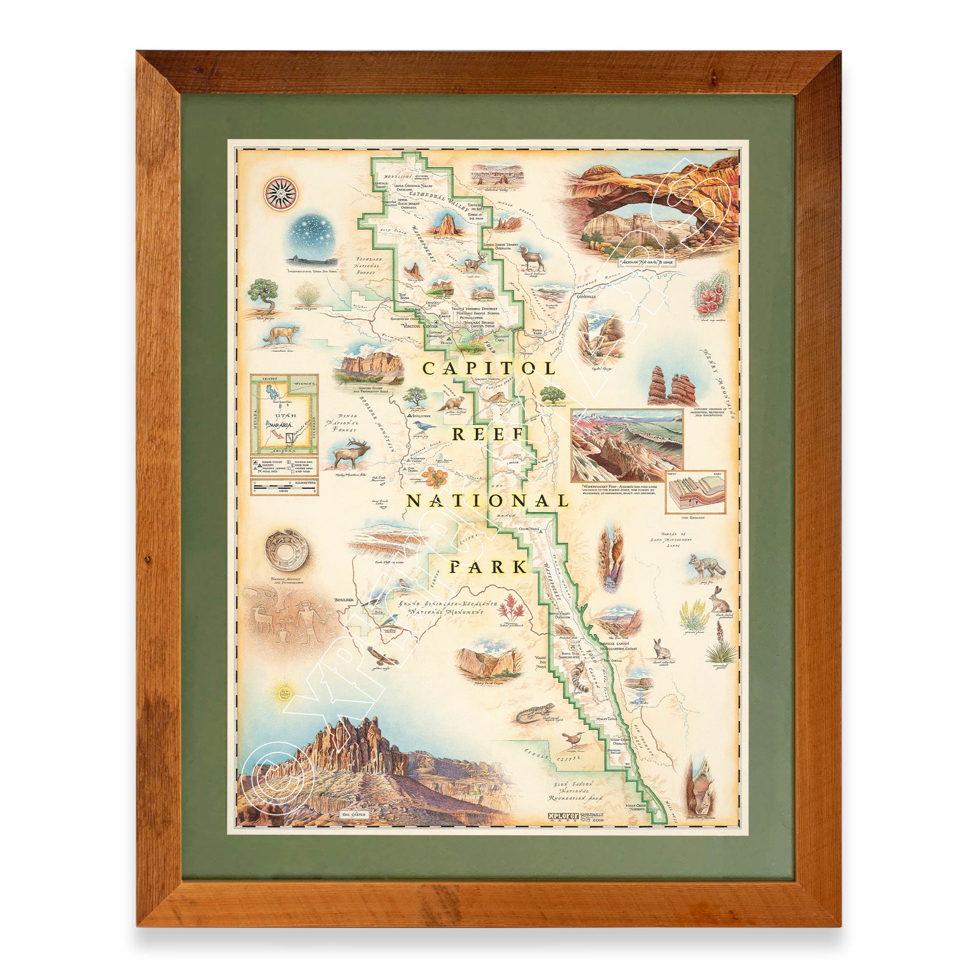 Utah's Capitol Reef National Park hand-drawn map in a Montana hand-scraped pine wood frame with green mat.