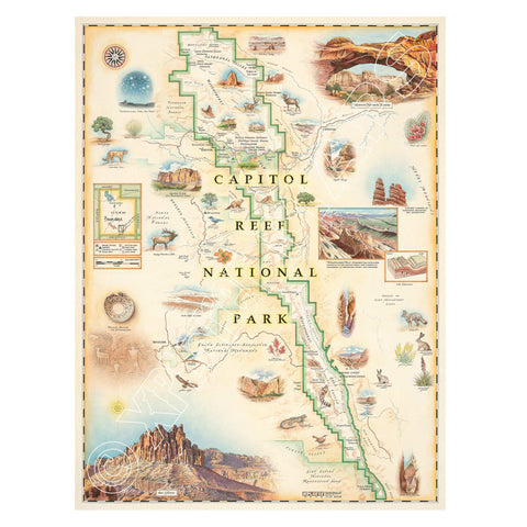 This is a hand-drawn map of Capitol Reef National Park in Utah with earthy tones. The map showcases the Claret Cup Cactus, Narrowleaf Yucca, Prince's Plume, and the Two-Needle Pinyon Pine. It includes detailed depictions of famous landmarks such as the Lower Muley Twist Canyon, Capitol Gorge, and Hickman Natural Bridge. The map is 18x24 in size.