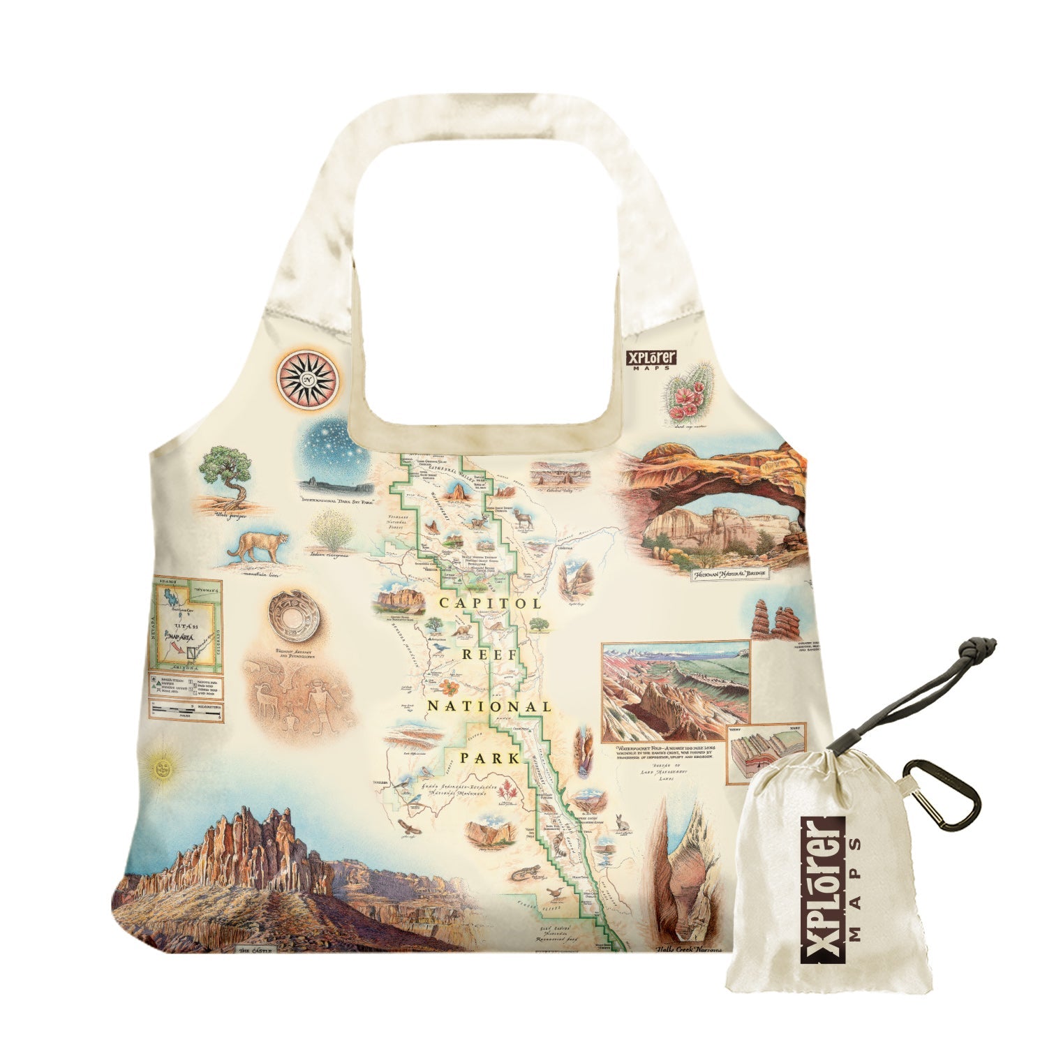 Utah's Capitol Reef National Park Map Pouch Tote Bag in earth tones. Featuring Claret Cup Cactus, Narrowleaf Yucca, Prince's Plume, and the Two-Needle Pinyon Pine. Detailed depictions of landmarks and geographic wonders like the Lower Muley Twist Canyon, Capitol Gorge, and Hickman Natural Bridge. 