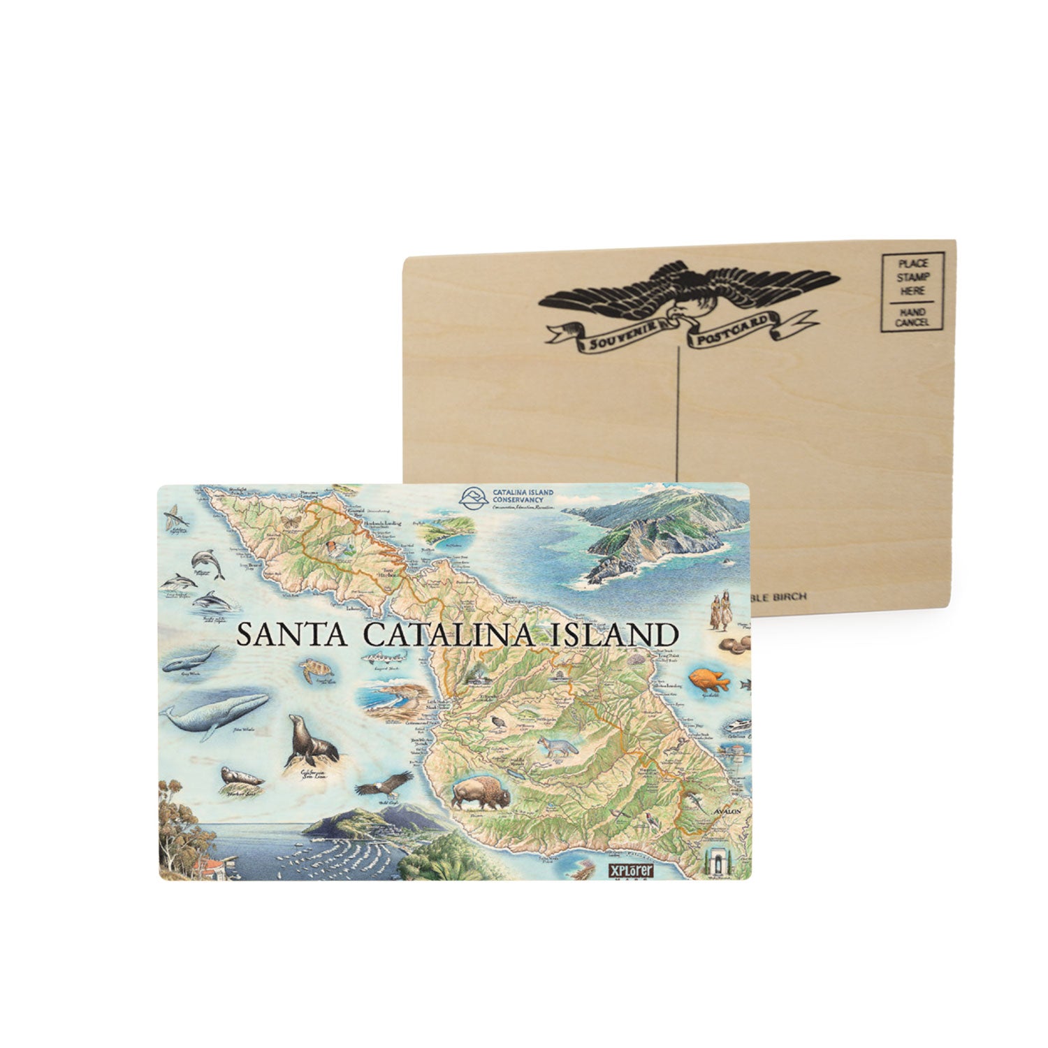 Santa Catalina Island Wood Postcards