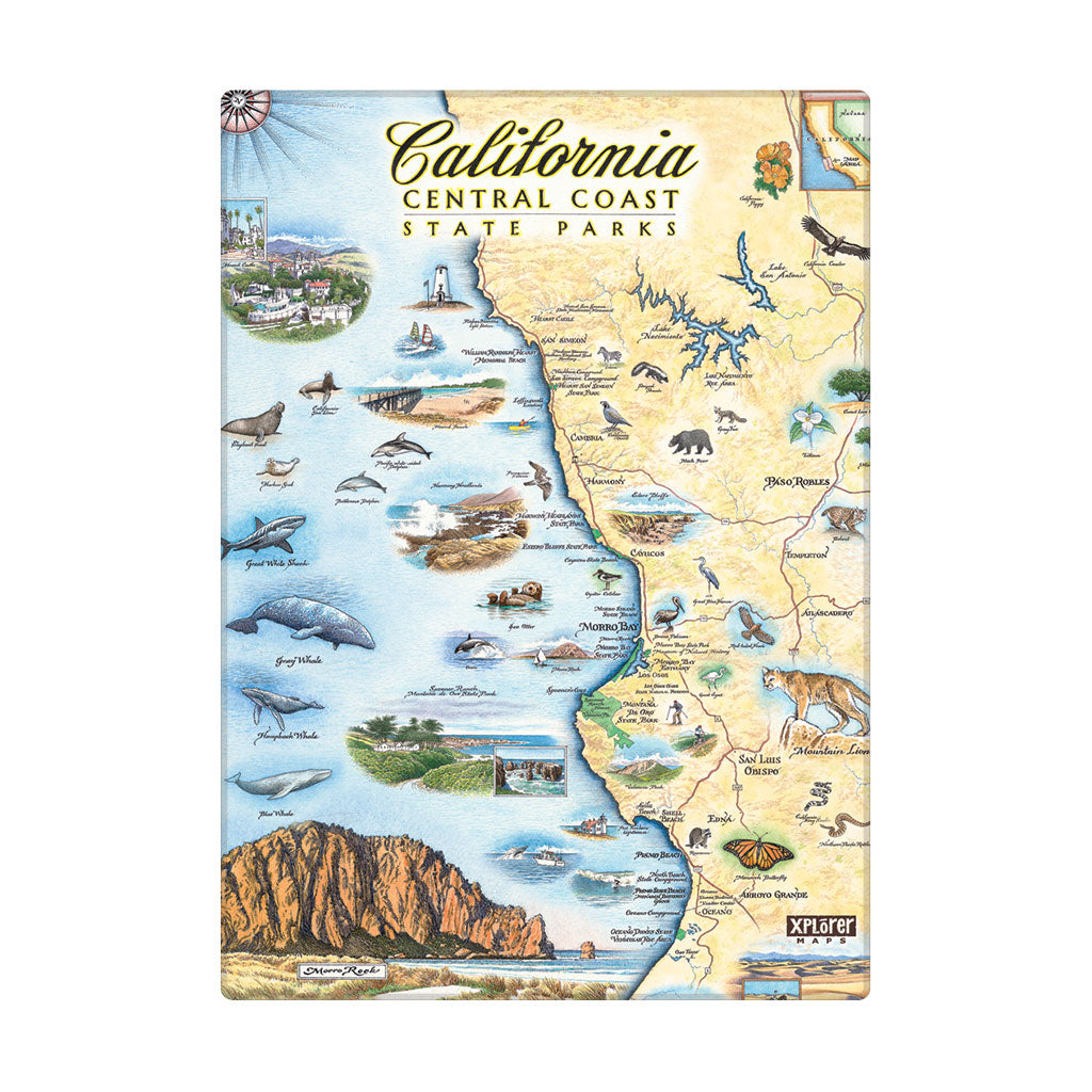 California Central Coast State Map Magnet in earth tones. Featuring black bear, ocean, butterfly seal, sharks, San Luis Obispo, and Arroyo Grand. 