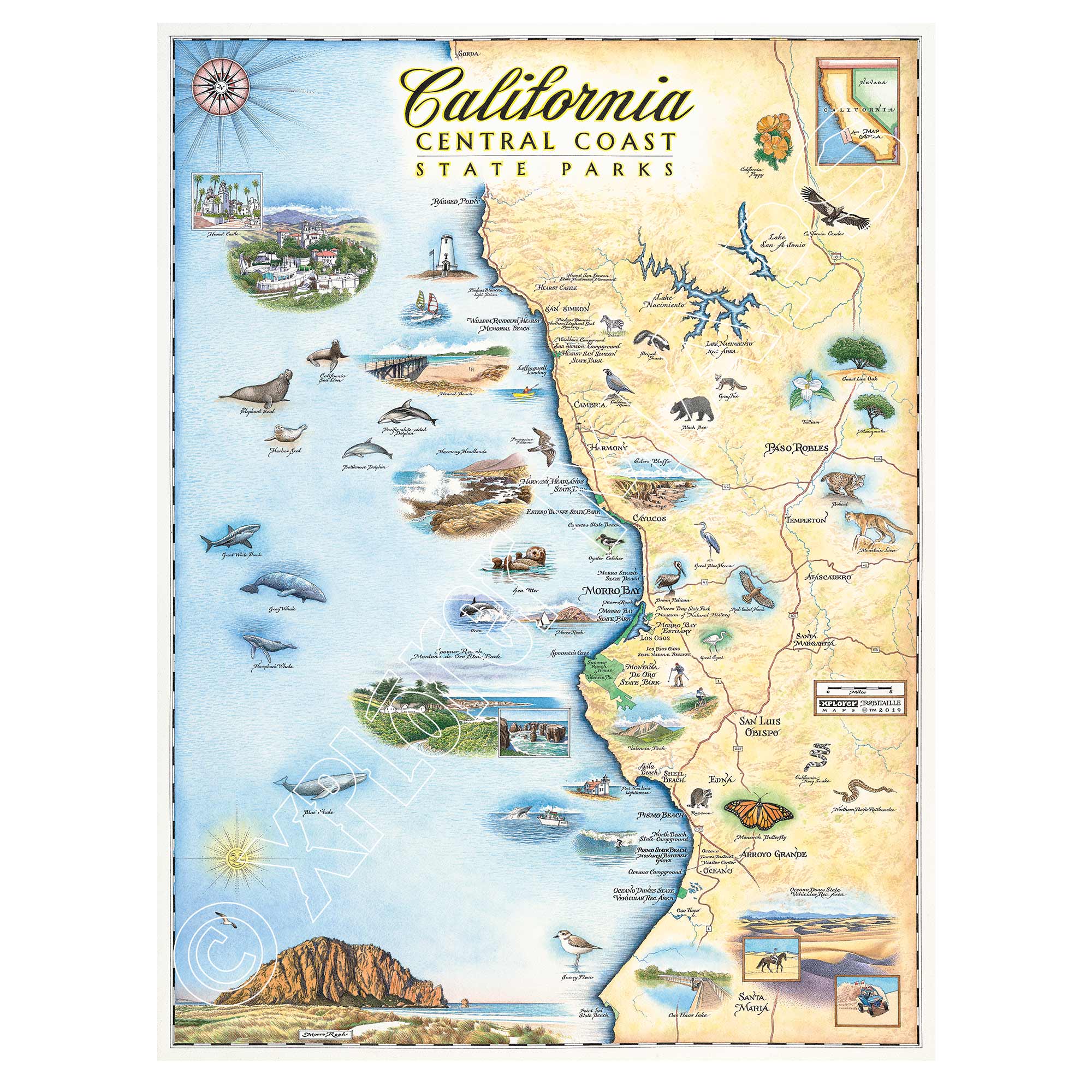 This is a hand-drawn map of California's Central Coast in earth tones. The map showcases various elements such as black bears, the ocean, butterflies, seals, sharks, Santa Maria, Arroyo Grande, San Luis Obispo, Morro Bay, and Paso Robles. It measures 18x24.