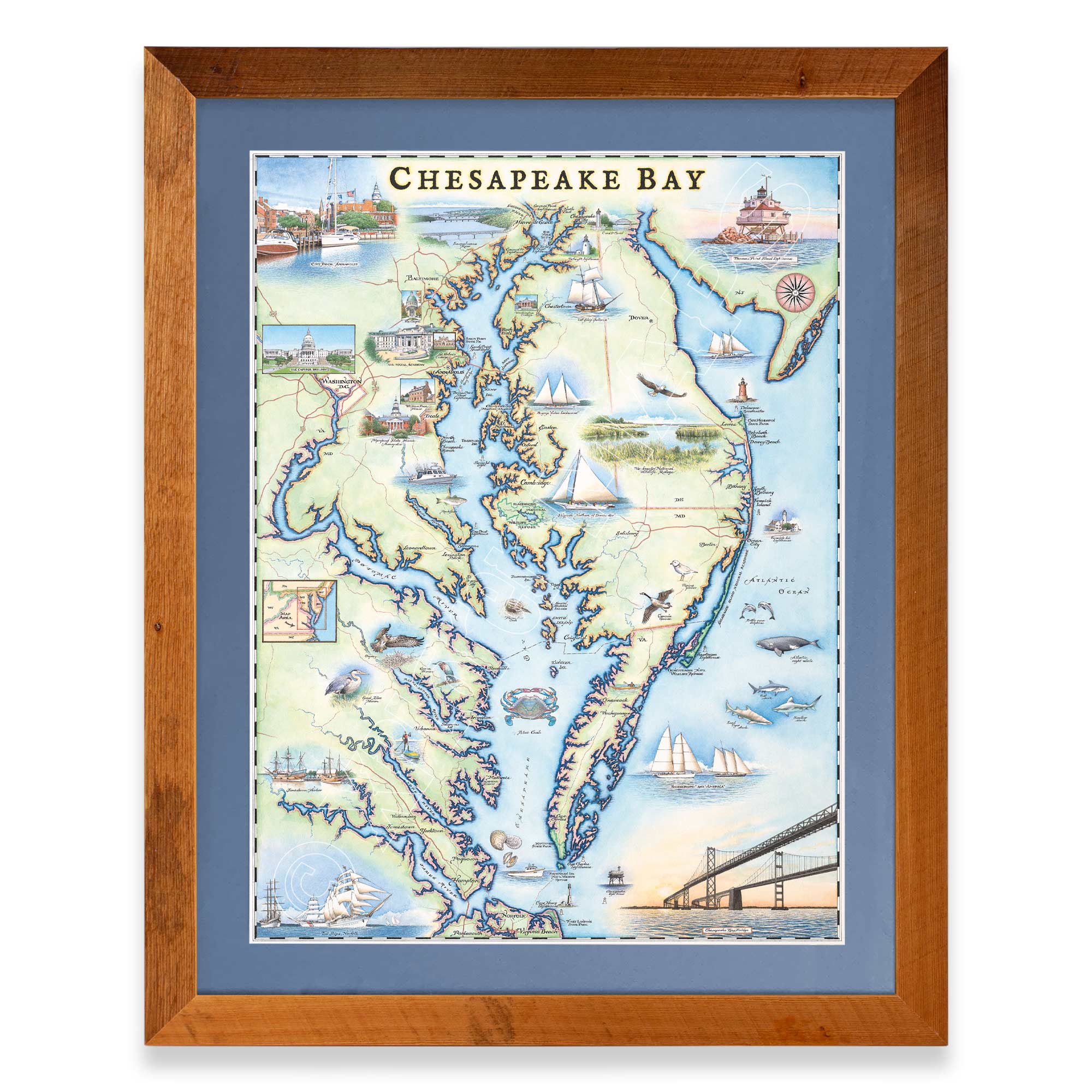 Chesapeake Bay hand-drawn map in a Montana Flathead Lake reclaimed larch wood frame and blue mat. 
