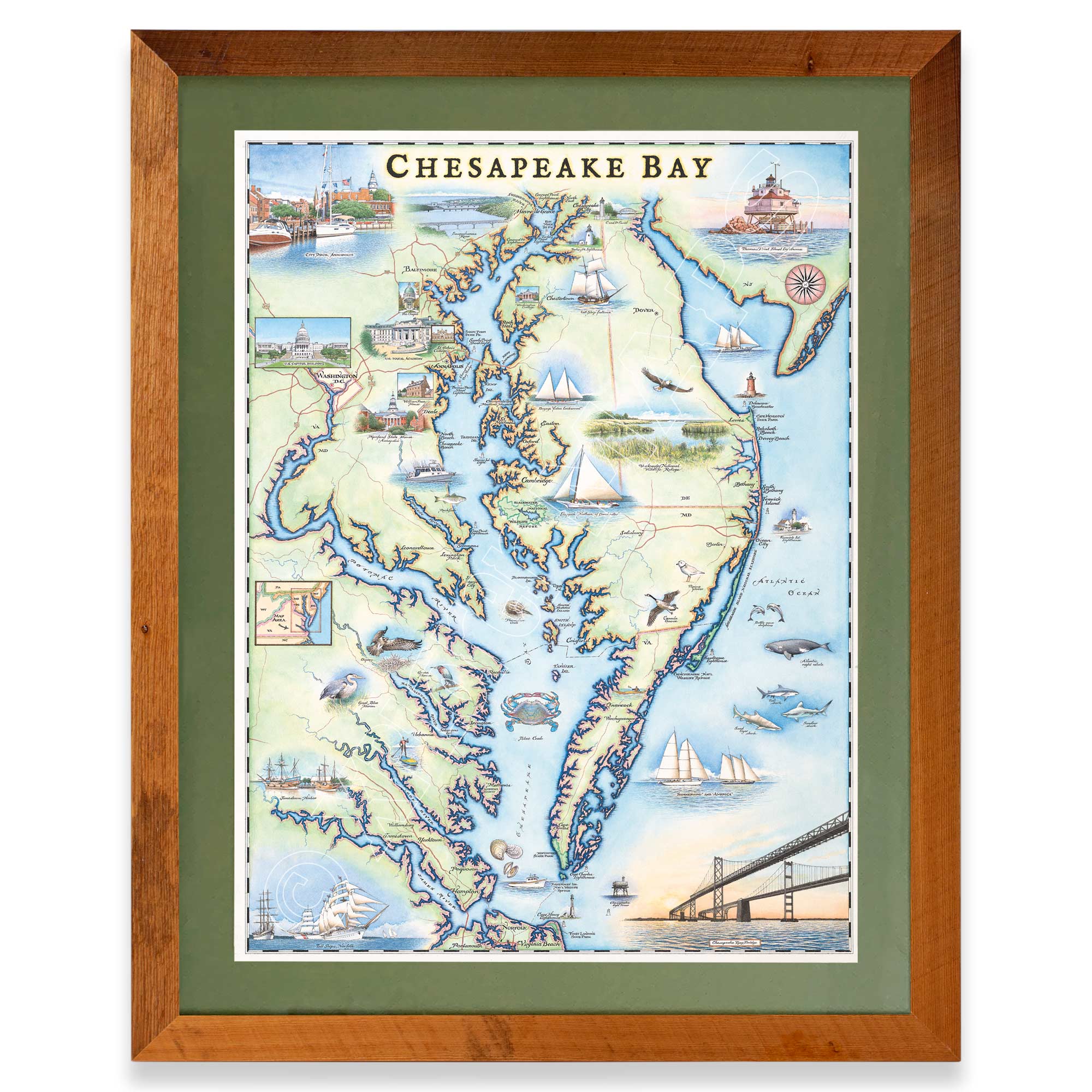 Chesapeake Bay hand-drawn map in a Montana Flathead Lake reclaimed larch wood frame and green mat. 