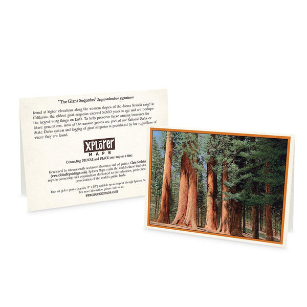 Yosemite Greeting Cards