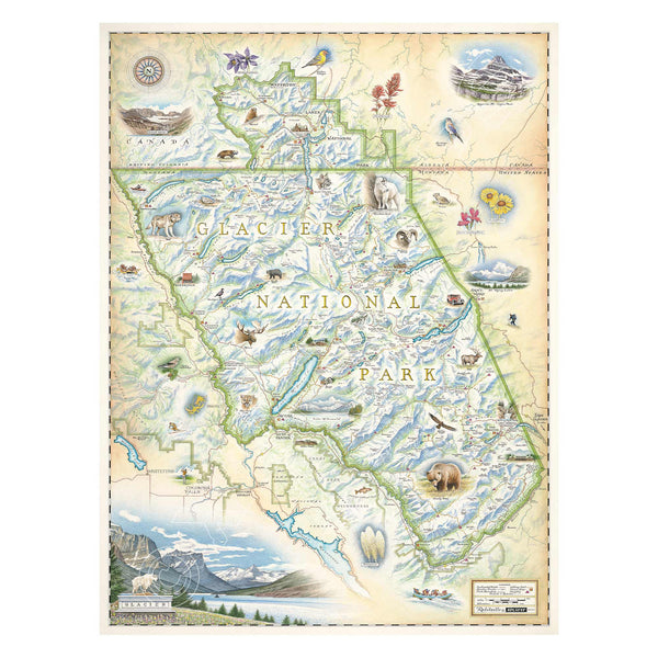 Glacier National Park hand-drawn map in earth tones of beige and blue. The map features places in the park such as Logan Pass, Lake McDonald Lodge, Many Glacier Lodge, Two Medicine, Glacier Park Lodge, and the Going-to-the-sun road. Flora and fauna include grizzly bear, elk, moose, mountain goat, and mountain lion. Measures 18x24."