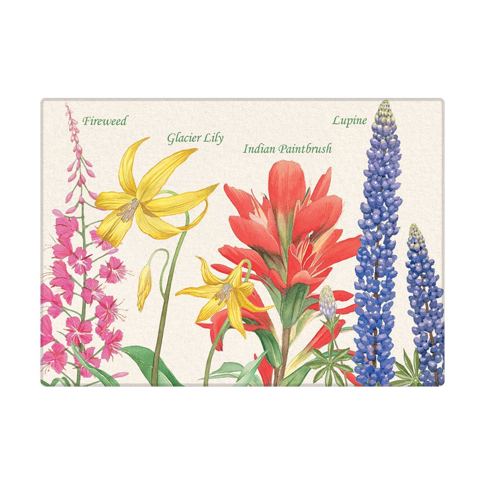 Glacier National Park Map Magnets