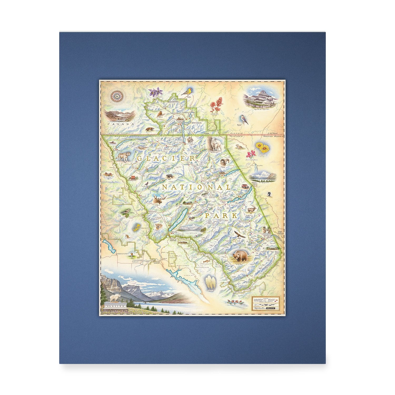 Glacier National Park Mini-Map by Xplorer Maps. The map features places in the park such as Logan Pass, Lake McDonald Lodge, Many Glacier Lodge, Two Medicine, Glacier Park Lodge, and the Going-to-the-sun Road. Flora and fauna include grizzly bears, elk, moose, mountain goats, and mountain lions. 
