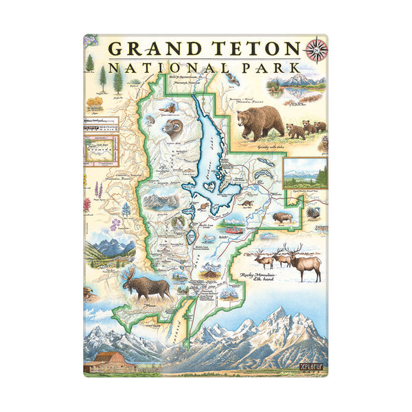 Grand Teton National Park map magnet by Xplorer Maps. The map features moose, elk, bears, mountains, native flowers and trees. Also features activities like river rafting. 