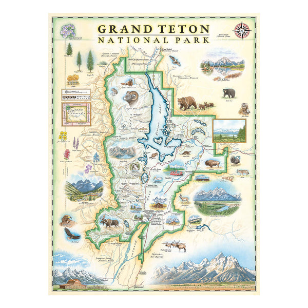 Grand Teton National Park hand-drawn map in earth tone colors of beige and blue. The map includes flora and fauna of the area, such as grizzly bear, moose, coyote, lupine, and longleaf phlox. Illustrations of places include snake river overlook, jenny lake, and Colter Bay village. Measures 18x24."