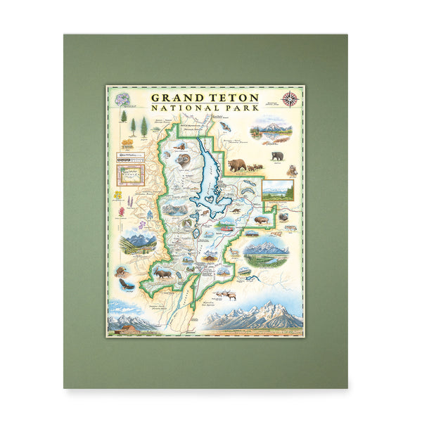  Grand Teton National Park Mini-Map by Xplorer Maps in earth tone colors of beige and blue. The map includes flora and fauna of the area, such as grizzly bears, moose, coyote, lupine, and longleaf phlox. Illustrations of places include Snake River Overlook, Jenny Lake, and Colter Bay Village.