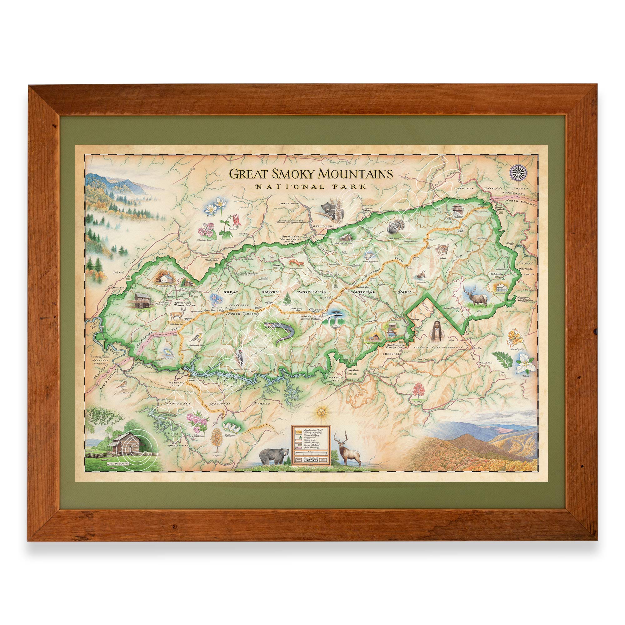 Great Smoky Mountains National Park Hand-Drawn Map