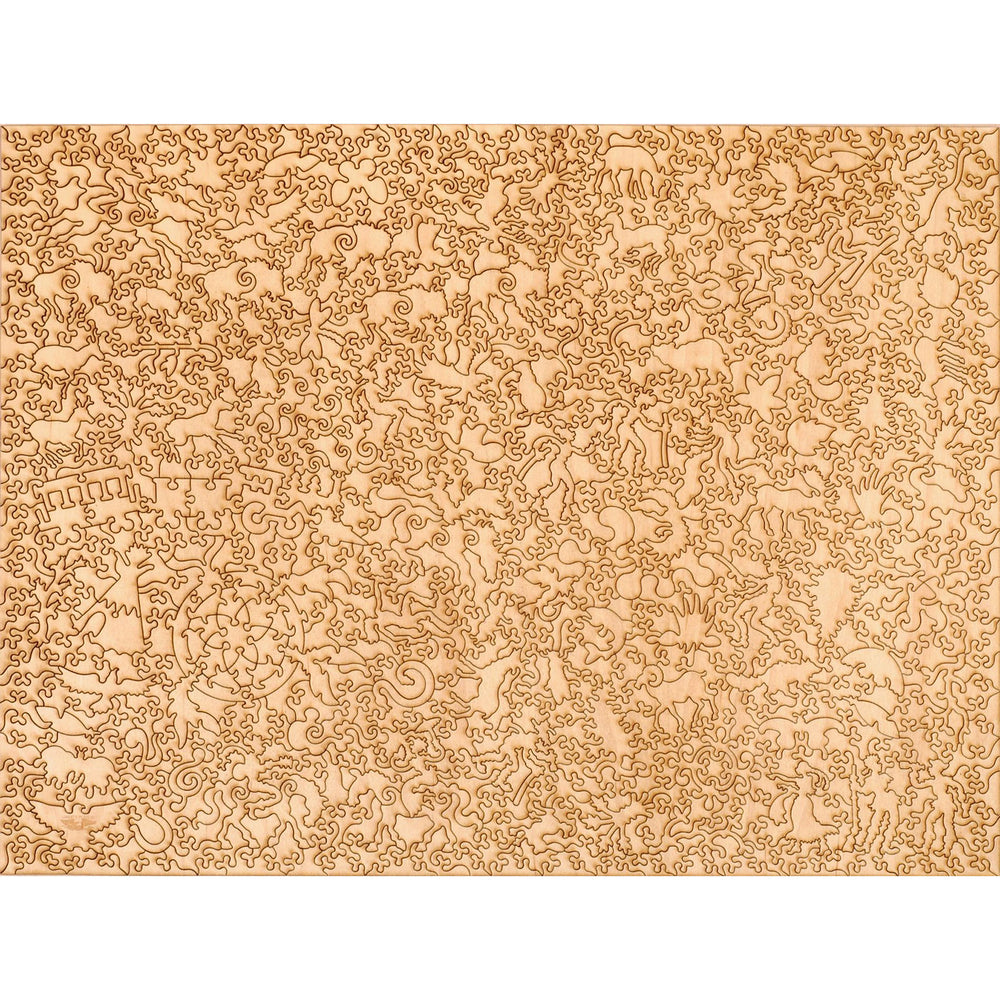 Missoula Map Wood Puzzle