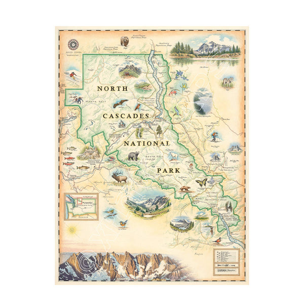 North Cascades National Park hand-drawn map in earth tones beige and green. The map features illustrations of flora and fauna such as black bear, elk, wolverine, glacier lily, and huckleberries. Other illustrations include, Pickett Range, Cascade Pass, and Lake Chelan Recreation area. Measures 18x24."