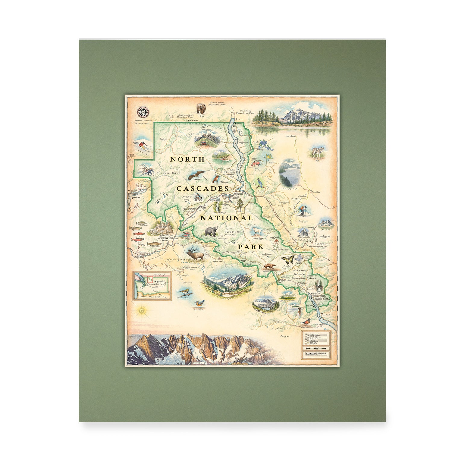 North Cascades National Park Mini-Map by Xplorer Maps. in earth tones beige and green. The map features illustrations of flora and fauna such as black bears, elk, wolverine, glacier lilies, and huckleberries. Other illustrations include Pickett Range, Cascade Pass, and Lake Chelan Recreation area. 