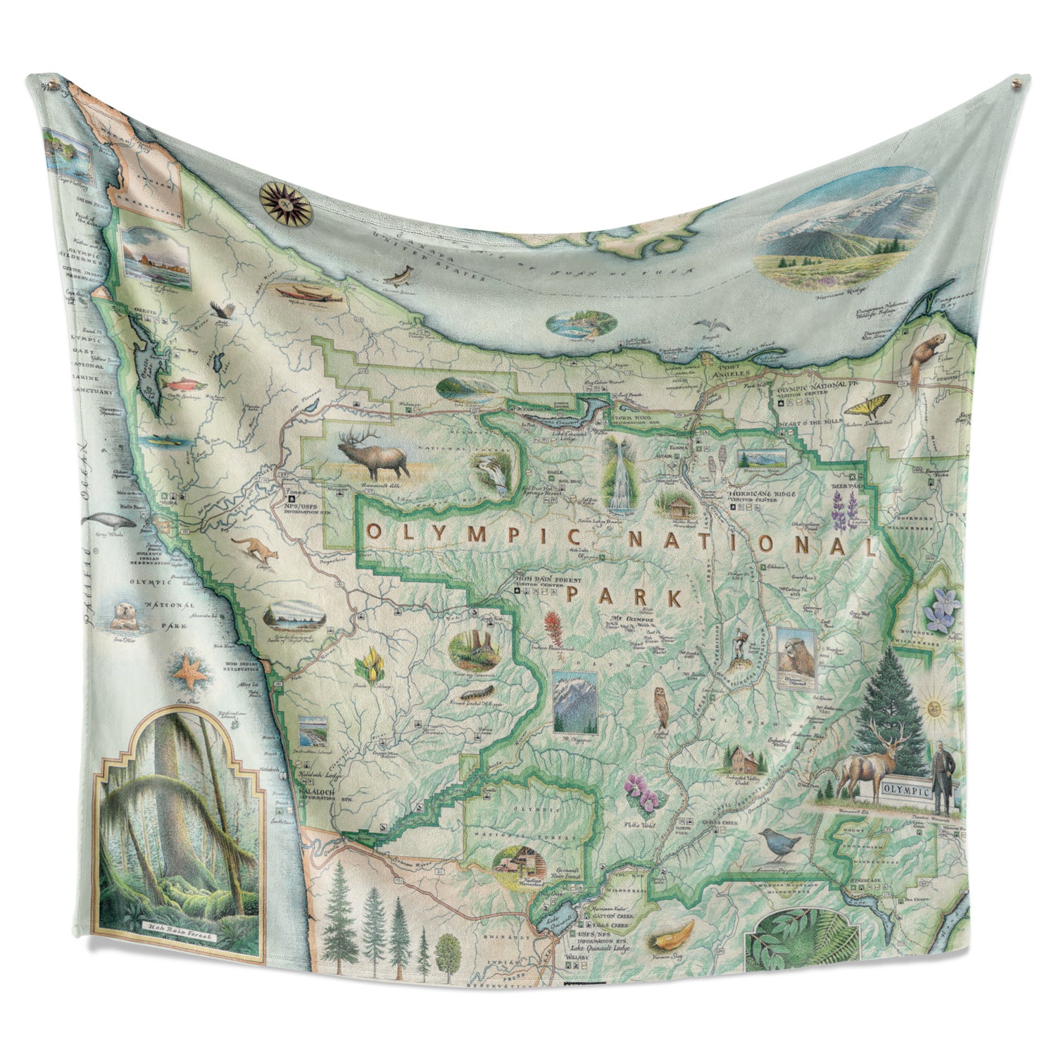 Hanging Olympic National Park fleece blanket. Real art map of Olympic on blanket.