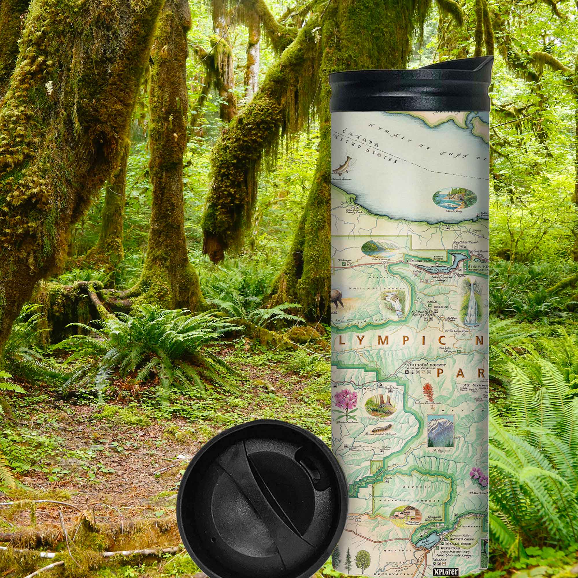 Washington's Olympic National Park Travel Thermos with pacific coast rainforest in the background.