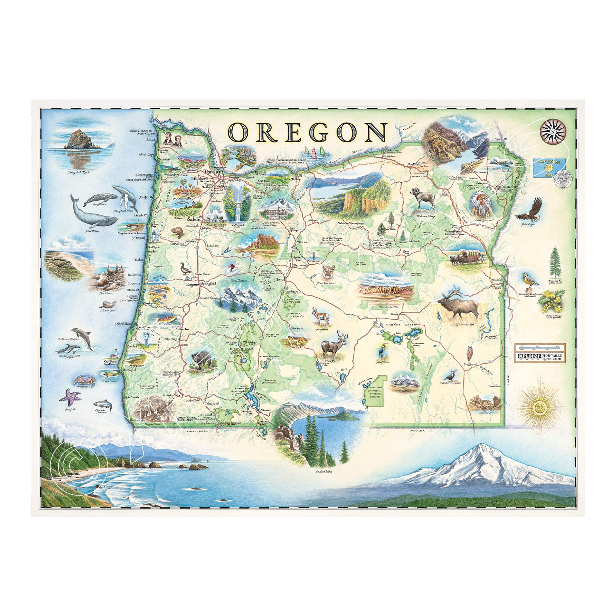 Oregon state hand-drawn map in earth tones green and blue. The map features illustrations such as Hells Canyon Snake River, the Columbia River Gorge, Multnomah Falls, and Crater lake. Flora and fauna include blue whale, big horn sheep, Dungeness crab, Oregon grape, and Douglas Fir. Measures 24x18.
