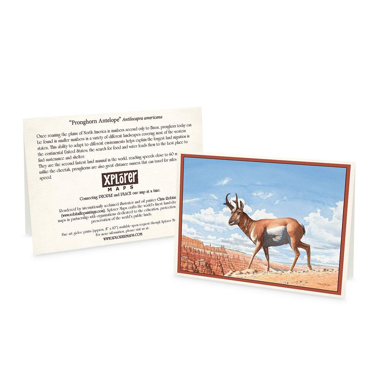 Bryce Canyon National Park Map Blank Notecards on earth tone colors featuring canyons, horseback, hoodoos, Rim Trail, Sunrise Point, Sunset Point, Inspiration Point and Bryce Point.