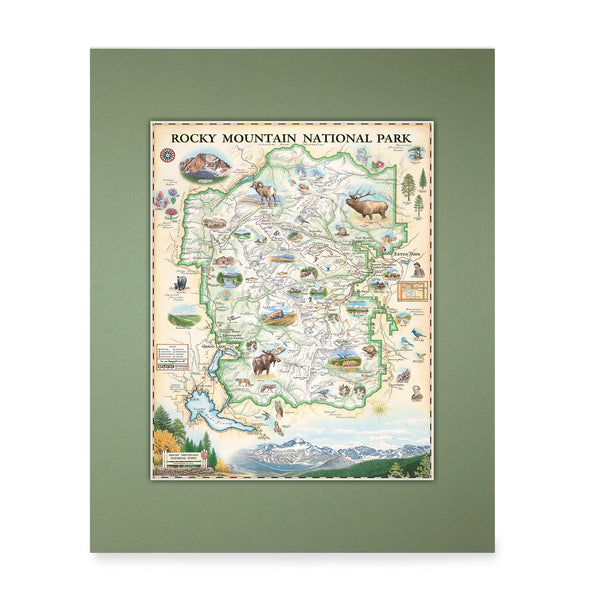 Rocky Mountain National Park Map Hand-Drawn Mini Map by Xplorer Maps in earth tones, green and beige. The map features illustrations of places like Trail Ridge Road, Mount Ganby, Estes Park, and the Alpine Visitor Center. Flora and fauna include bobcats, snowshoe hares, Indian paintbrushes, and wild roses.