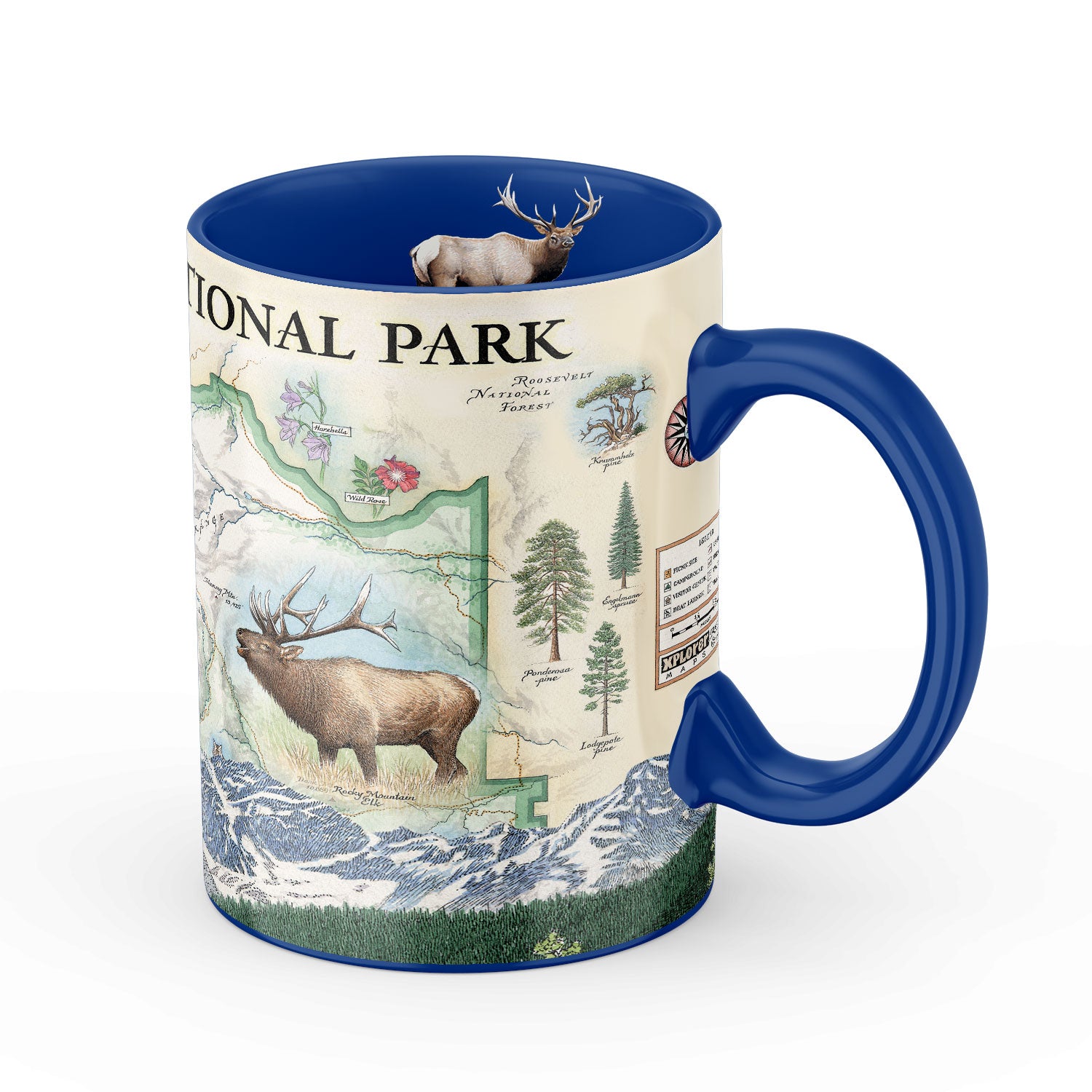 Blue 16 oz Rocky Mountain National Park Map Ceramic Mug. The map features illustrations of places like Trail Ridge Road, Mount Ganby, Estes Park, and the Alpine Visitor Center. Flora and fauna include bobcats, snowshoe hares, Indian paintbrushes, and wild roses. 