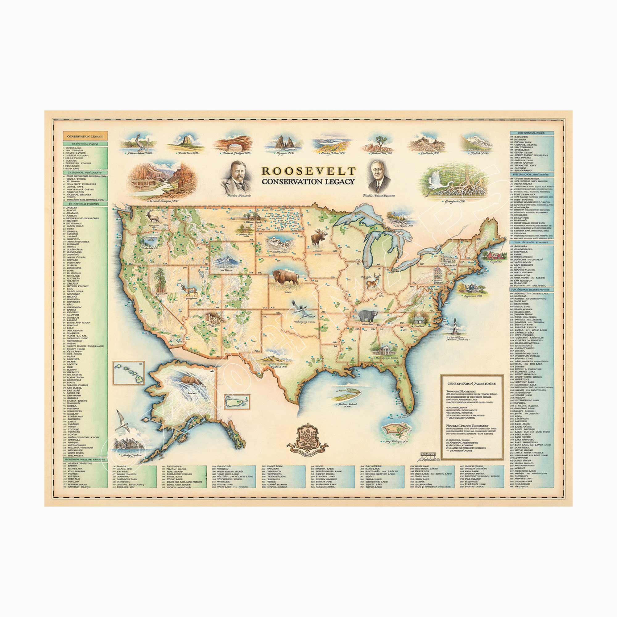 Roosevelt's USA Conservation Legacy hand-drawn map in earth tones beige and green. The map features the United States of America with significant features of each state. Some illustrations include Mesa Verde National Park in Colorado, Campobello in Maine, Mount Rushmore, and Grand Canyon National Park. The map is numbered with corresponding explanations of places featured on the map. Measures 24x18.