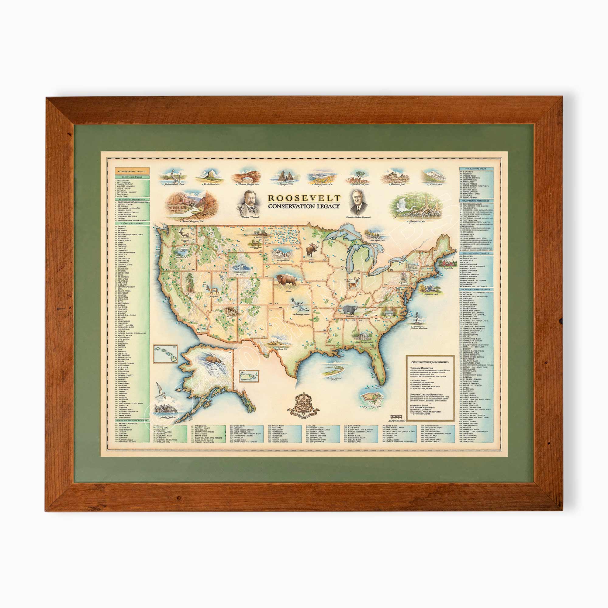 Roosevelt's USA Conservation Legacy hand-drawn map in earth tones blues and greens. The map print is framed in reclaimed Montana Flathead Lake Larch with a green mat.