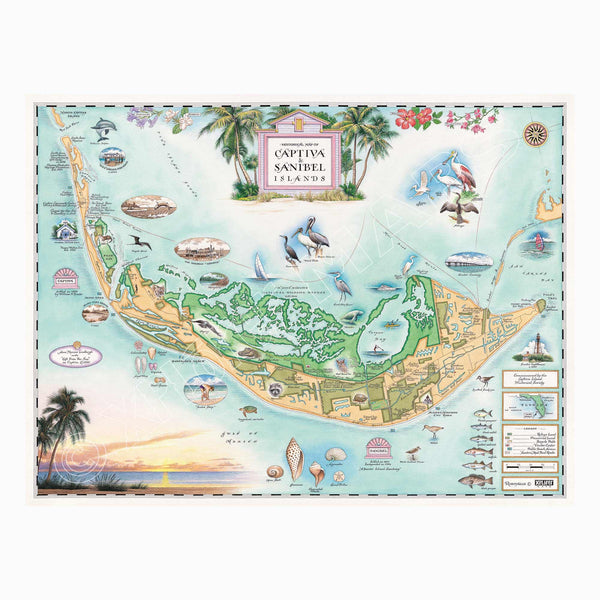 Sanibel & Captiva Islands Hand-Drawn Map in blue, green, and beige earth tones. The map features illustrations of places such as Ding Darling Wildlife Sanctuary, Bailey-Matthews Shell Museum, and Sanibel Lighthouse. Flora and fauna include the Loggerhead sea turtle, Manatee, and Great Blue Heron. Many other birds and sea animals are illustrated. Measures 24x18."