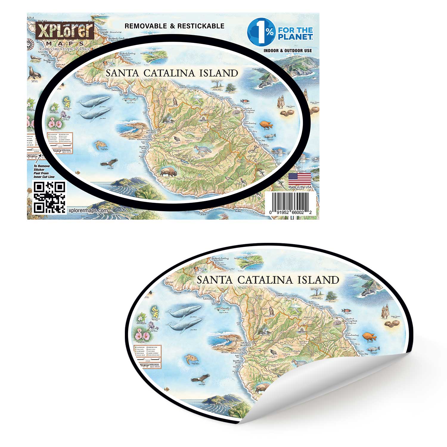 Santa Catalina Island Map Sticker by Xplorer Map. The map features illustrations of places such as Wrigley Memorial, El Rancho Escondido, and Avalon Bay. Flora and fauna include Bison, Catalina Island Fox, Catalina Orange Lip butterfly, Channel Islands tree poppy, and Island oak. 