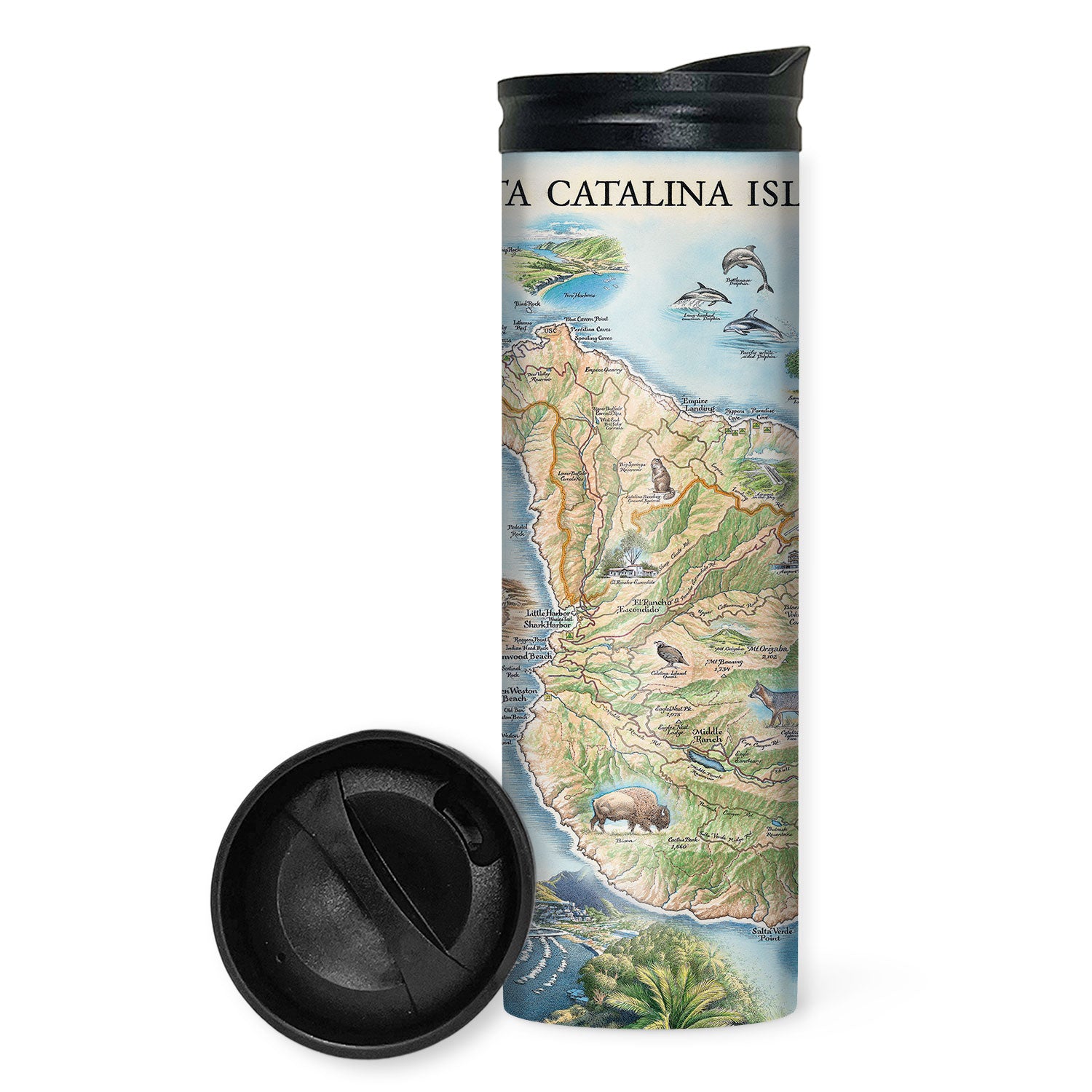 California’s Santa Catalina Island map 16 oz travel bottle in green and blue color. The map features illustrations of places such as Wrigley Memorial, El Rancho Escondido, and Avalon Bay. Flora and fauna include Bison, Catalina Island Fox, Catalina Orange Lip butterfly, Channel Islands tree poppy, and Island oak. 