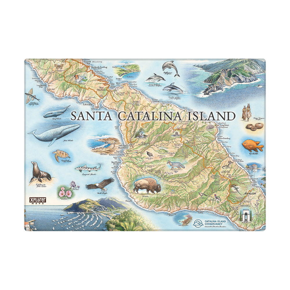Santa Catalina Island Magnets