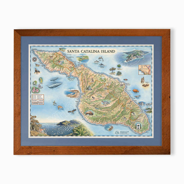 Santa Catalina Island hand-drawn map in earth tones blues and greens. The map print is framed in reclaimed Montana Flathead Lake Larch with a blue mat. 