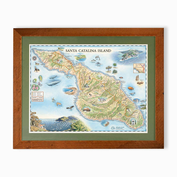 Santa Catalina Island hand-drawn map in earth tones blues and greens. The map print is framed in reclaimed Montana Flathead Lake Larch with a green mat.