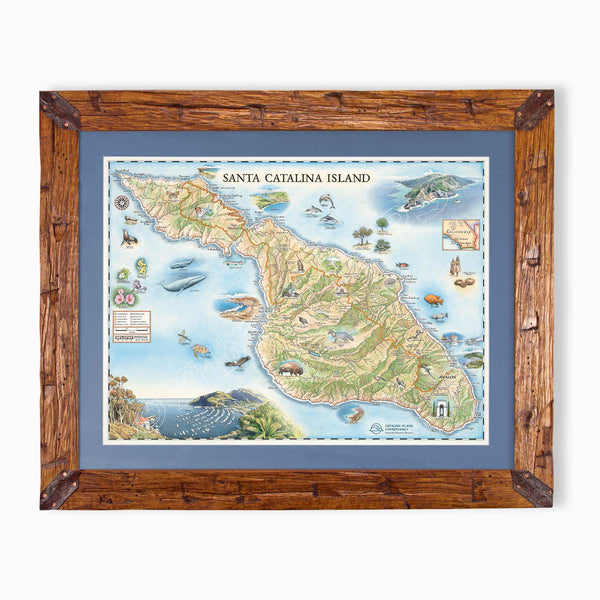 Santa Catalina Island hand-drawn map in earth tones blues and greens. The map print is framed in Montana hand-scraped pine with a blue mat.