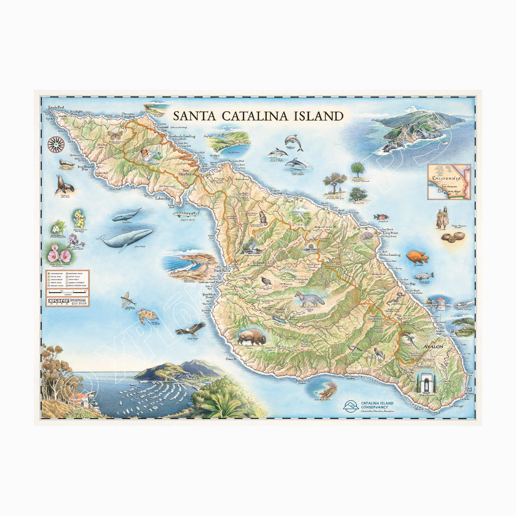 Santa Catalina Island hand-drawn map in blue and green. Located off the coast of California. The map features illustrations of places such as Wrigley Memorial, El Rancho Escondido, and Avalon Bay. Flora and fauna include Bison, Catalina Island Fox, Catalina Orange Lip butterfly, Channel Islands tree poppy, and Island oak. Map measures 24x18.