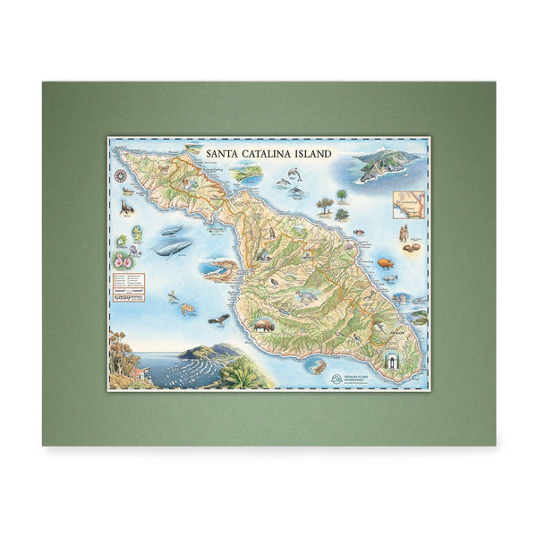 California's Santa Catalina Island Mini-Map by Xplorer Maps in blue and green. Located off the coast of California. The map features illustrations of places such as Wrigley Memorial, El Rancho Escondido, and Avalon Bay. Flora and fauna include Bison, Catalina Island Fox, Catalina Orange Lip butterfly, Channel Islands tree poppy, and Island oak. - Green Matte
