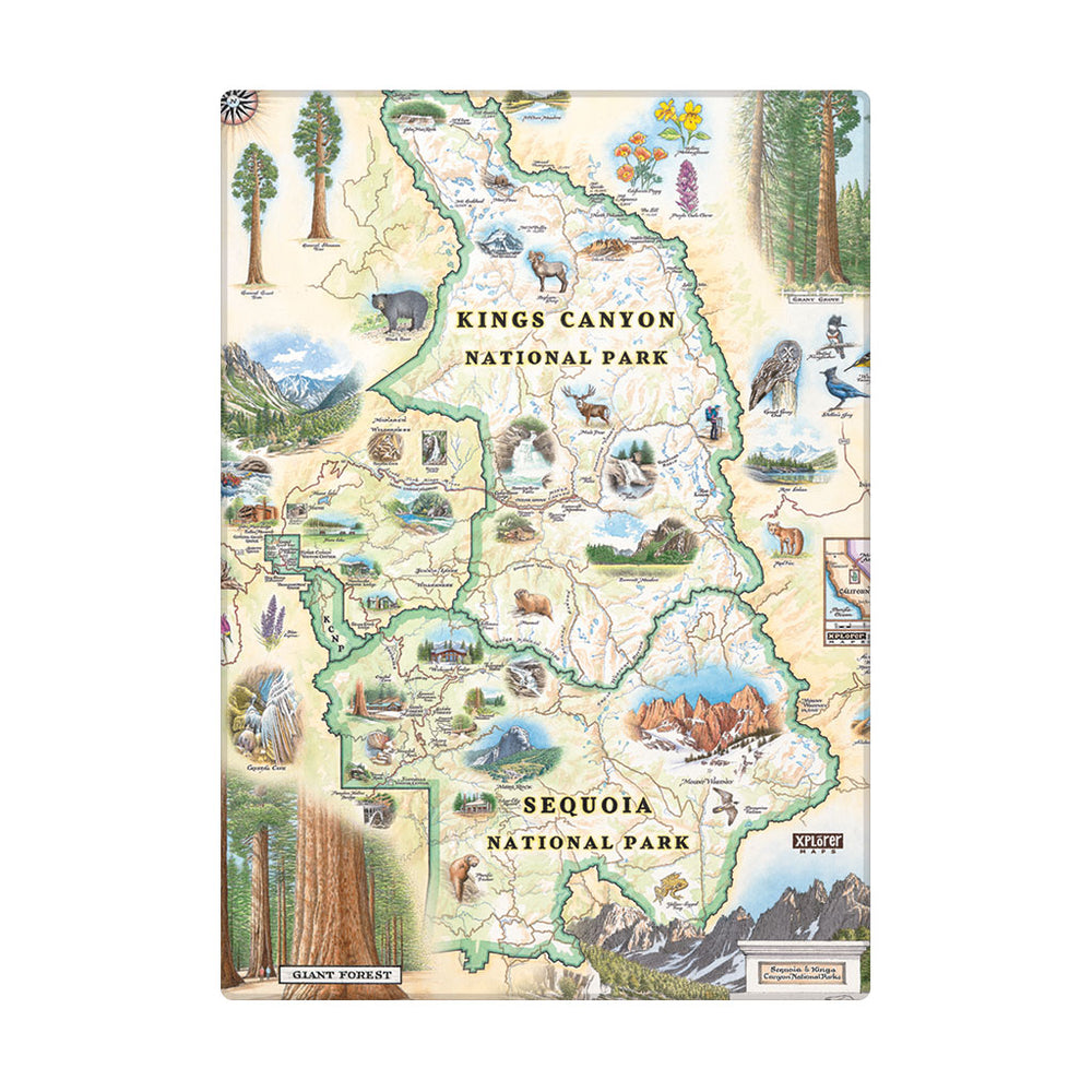 Sequoia & Kings Magnets