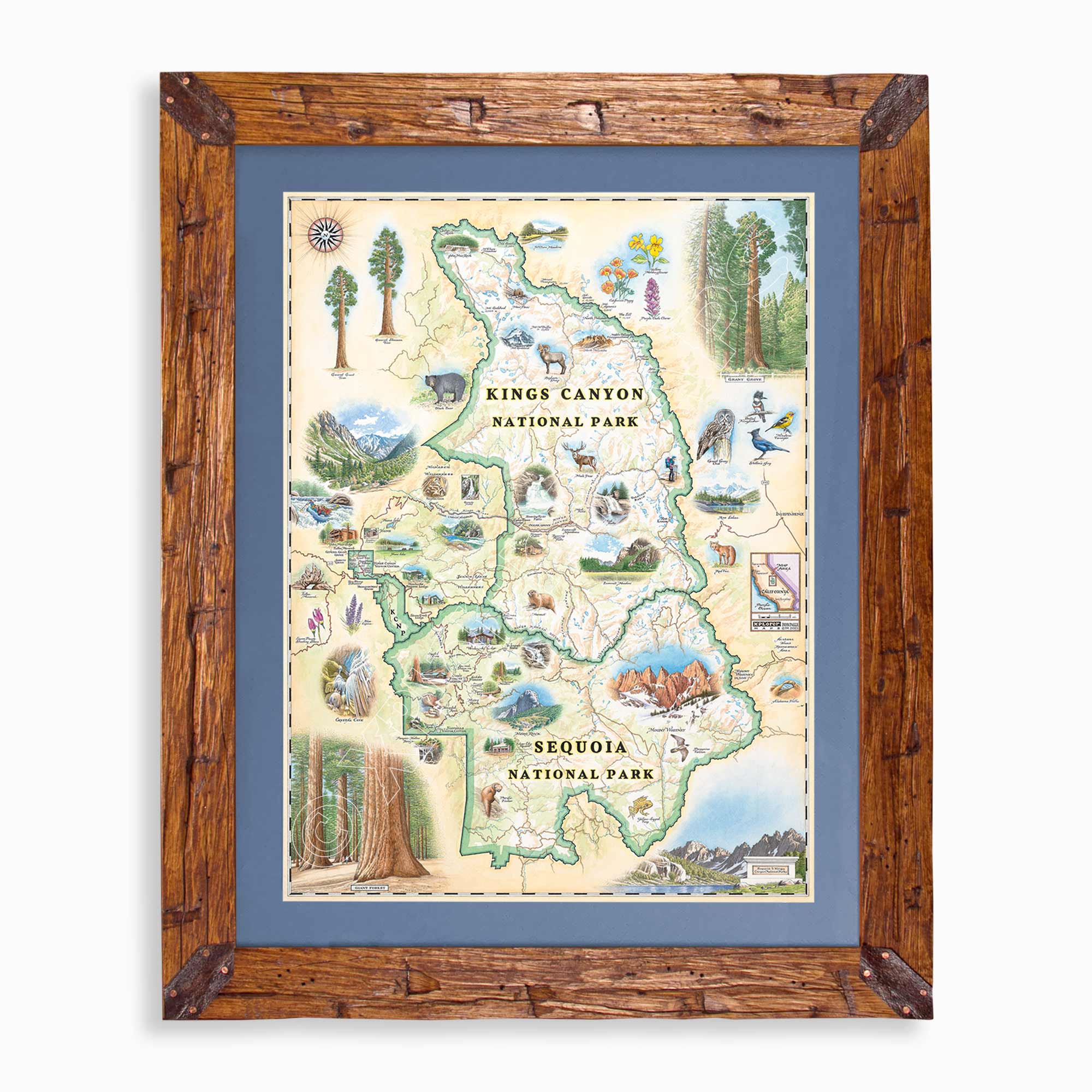 Sequoia & Kings Canyon National Parks hand-drawn map in earth tones blues and greens. The map print is framed in Montana hand-scraped pine with a blue mat.