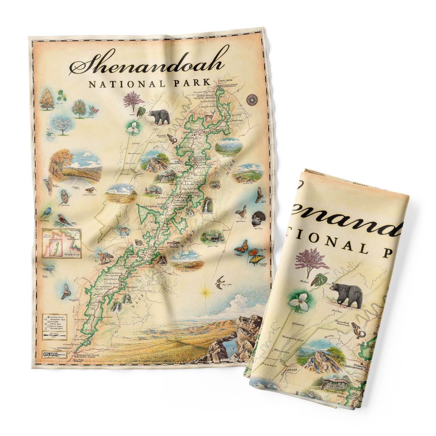 Shenandoah National Park Map Kitchen Towels in earth tones beige and green. The illustrations include places such as Skyline Drive, Byrd Visitor center, and Big Meadows Lodge. Flora and fauna include a bobcat, wild turkey, trillium flowers, and a dogwood tree. 