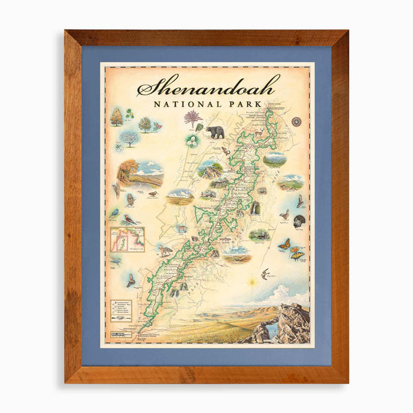 Shenandoah National Park hand-drawn map in earth tones blues and greens. The map print is framed in reclaimed Montana Flathead Lake Larch with a blue mat. 