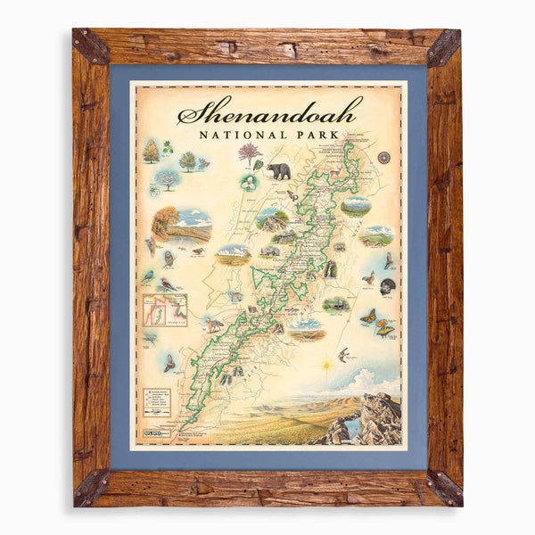 Shenandoah National Park hand-drawn map in earth tones blues and greens. The map print is framed in Montana hand-scraped pine with a blue mat.